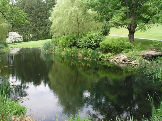 2.7_Water-Features-pond-garden